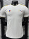 2026 Venezuela Away Player Version Soccer Jersey