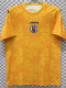 26/27 Haïti Goalkeeper Yellow Fans Soccer Jersey