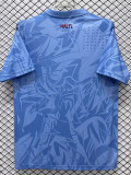 26/27 Haïti Goalkeeper Blue Fans Soccer Jersey