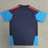 26/27 Spain Royal Blue Training Shirts