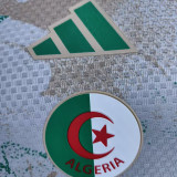 26/27 Algeria White & Green Player Version Training Shirts
