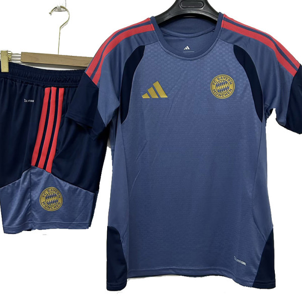 26/27 Bayern Grey Training Shorts Suit