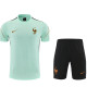 26/27 France Light Green Training Short Suit
