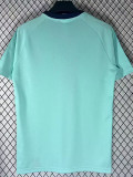 26/27 Germany Leisure Edition Light Green T-shirt
