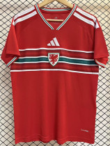 26/27 Wales Home Fans Soccer Jersey