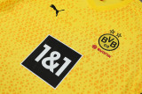 23-24 Dortmund Yellow Training Short Suit