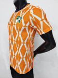 23-24 Cote d'Ivoire Orange Special Edition Player Version Soccer Jersey