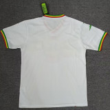 2023 Mali CAN White Fans Soccer Jersey