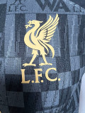 23-24 LIV Black Grey Joint Edition Player Version Training Shirts