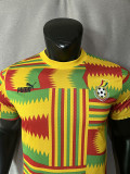 23-24 Ghana Yellow Player Version Soccer Jersey