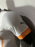 22-23 Cote d'Ivoire Away Player Version Soccer Jersey (带二星)