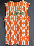 23-24 Cote d'Ivoire Orange Vest