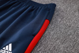 23-24 AD Royal Blue Hoodie Jacket Tracksuit #C2306