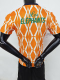 23-24 Cote d'Ivoire Orange Special Edition Player Version Soccer Jersey
