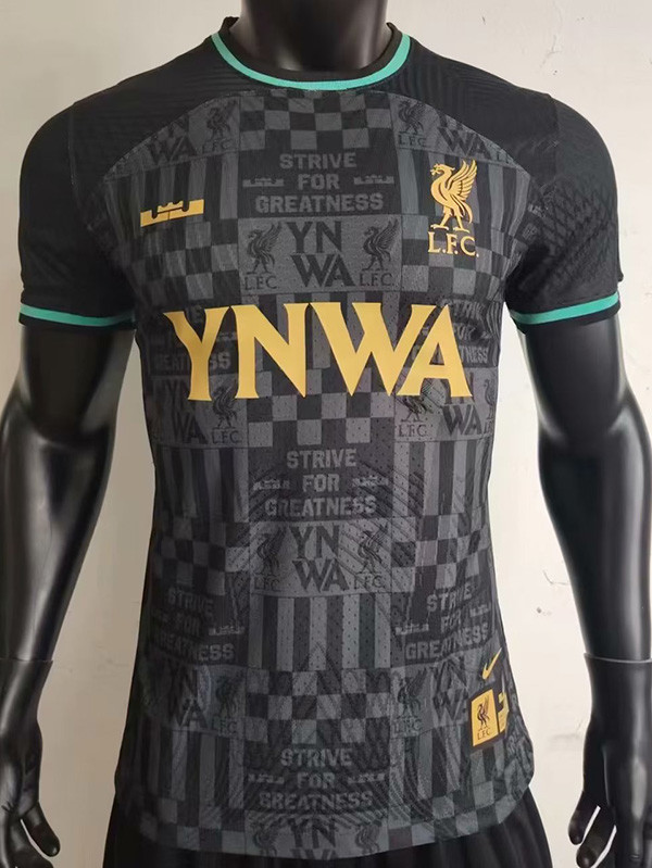 23-24 LIV Black Grey Joint Edition Player Version Training Shirts