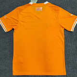 22-23 Cote d'Ivoire Home Fans Soccer Jersey (带二星)