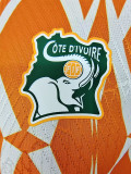 23-24 Cote d'Ivoire Orange Special Edition Player Version Soccer Jersey