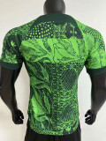 22-23 Nigeria Home Player Version Soccer Jersey
