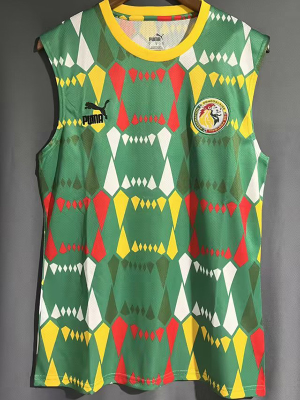 23-24 Senegal Green Vest