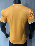 22-23 Cote d'Ivoire Home Player Version Soccer Jersey (带二星)