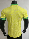 2024 Brazil Concept Edition Player Version Soccer Jersey