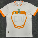 22-23 Cote d'Ivoire Away Fans Soccer Jersey (带二星)