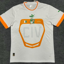22-23 Cote d'Ivoire Away Fans Soccer Jersey (带二星)