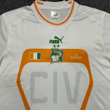 22-23 Cote d'Ivoire Away Fans Soccer Jersey (带二星)