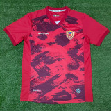 2023 Venezuela Home Fans Soccer Jersey