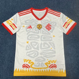 23-24 Internacional White Red Special Edition Training shirts
