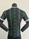 2023 Nigeria Green Black Player Version Training Shirts