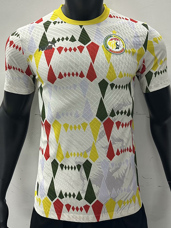 23-24 Senegal White Red Yellow Player Version Training Shirts