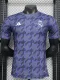 23-24 RMA Grey Blue Player Version Training shirts