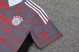 23-24 Bayern Grey Red Training Short Suit