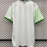 23-24 Saint Etienne Away Fans Soccer Jersey