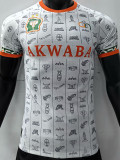 23-24 Ivory coast White Player Version Training Shirts ''AKWABA''
