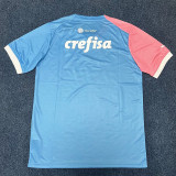 23-24 Palmeiras Pink Blue Special Edition Training shirts