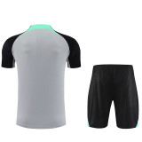 23-24 LIV Grey Training Short Suit
