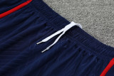 23-24 PSG Beige Training Short Suit