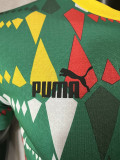 23-24 Senegal Green Player Version Soccer Jersey