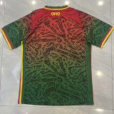 2024 Cameroon Green Red Special Edition Fans Soccer Jersey