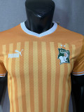 22-23 Ivory coast Home Player Version Soccer Jersey (带二星)