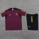 23-24 Germany Reddish brown Training Short Suit