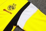 23-24 Dortmund Yellow Jacket Tracksuit #A699
