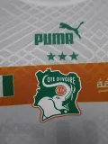 22-23 Ivory Coast Away 3 Star Player Version Soccer Jersey (带三星)