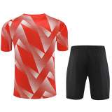 23-24 Bayern Red White Training Short Suit