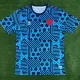 23-24 Denmark Blue Training Shirts