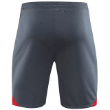 23-24 LIV Grey Training Shorts Pants