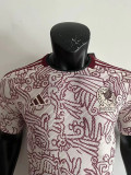 22-23 Mexico Away World Cup Player Version Soccer Jersey