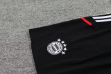 23-24 Bayern Grey Red Training Short Suit